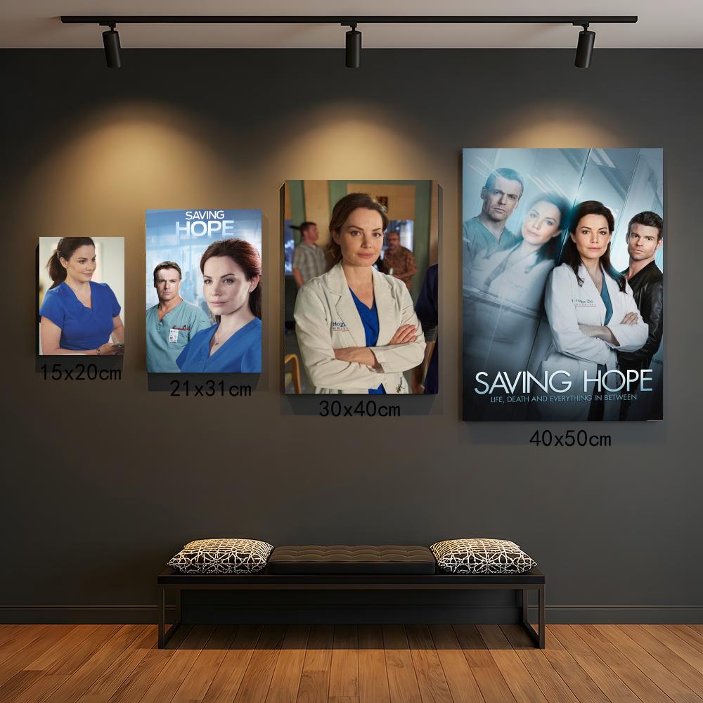 Interior Design Tv Room - tv series S-Saving Hope-E Painting Calligraphy