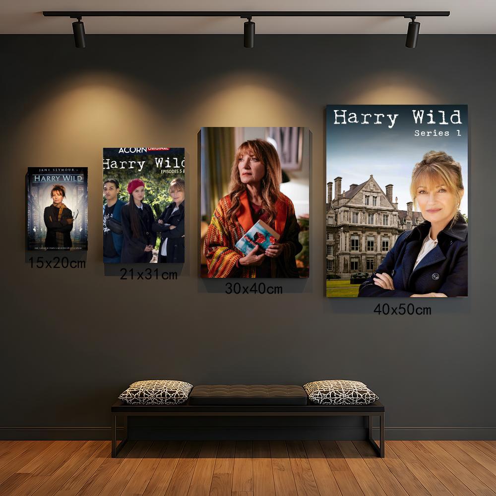 tv series H-Harry Wild-D Paint - đánh giá và giá Interior Design Tv Room