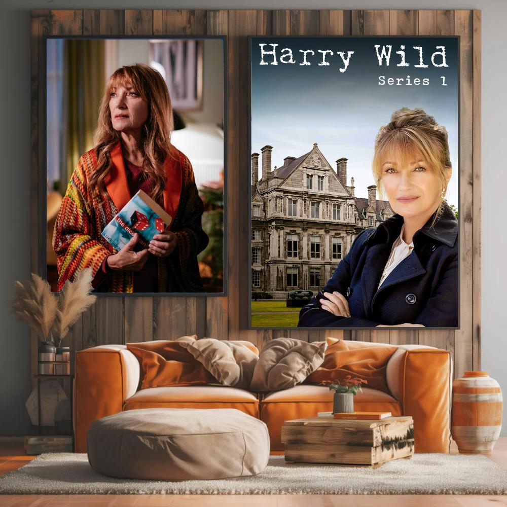tv series H-Harry Wild-D Paint - đánh giá và giá Interior Design Tv Room