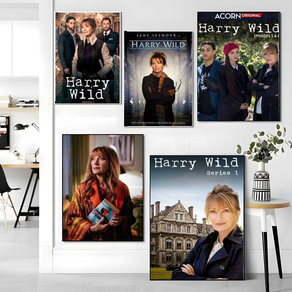 tv series H-Harry Wild-D Paint - đánh giá và giá Interior Design Tv Room