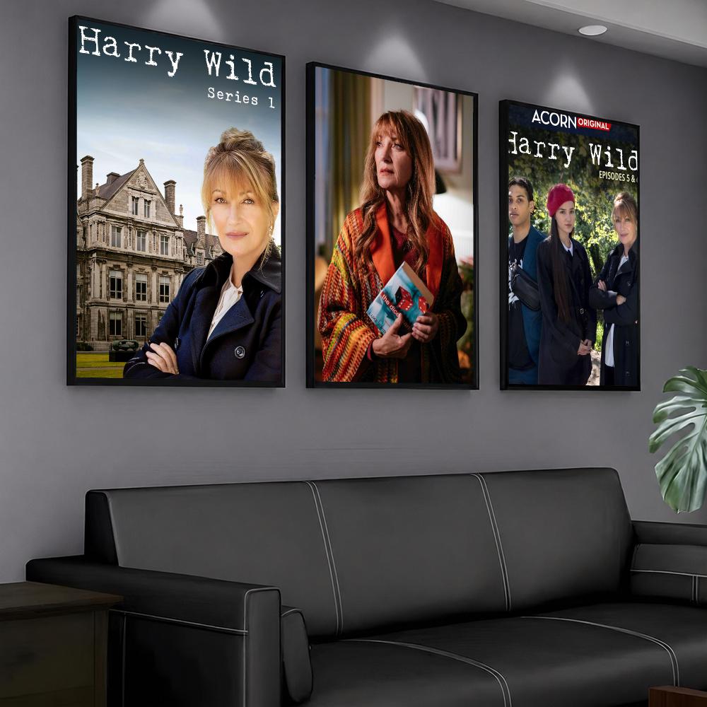 tv series H-Harry Wild-D Paint - đánh giá và giá Interior Design Tv Room