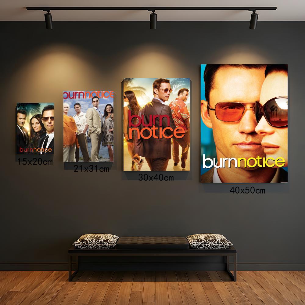 tv series B-Burn Notice-E Pain - đánh giá và giá Interior Design Tv Room