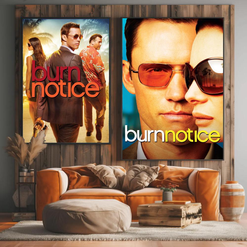 tv series B-Burn Notice-E Pain - đánh giá và giá Interior Design Tv Room