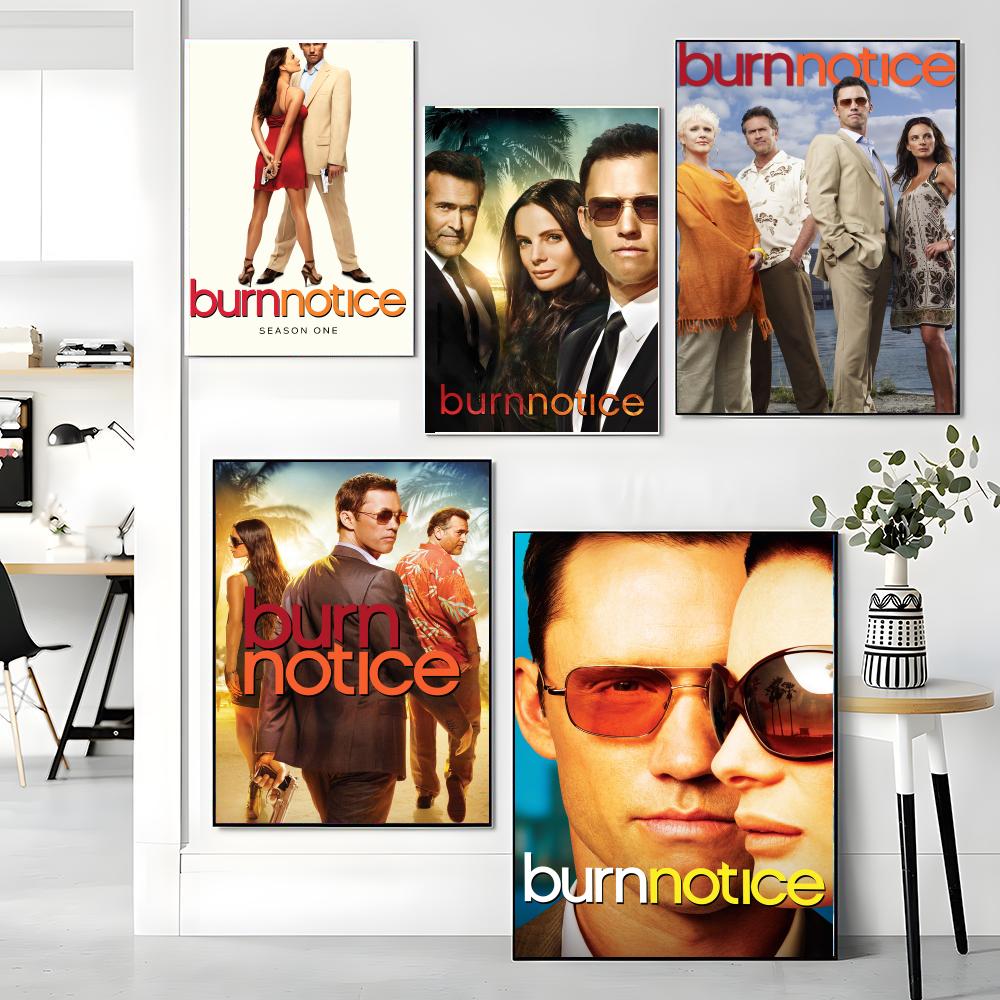 tv series B-Burn Notice-E Pain - đánh giá và giá Interior Design Tv Room