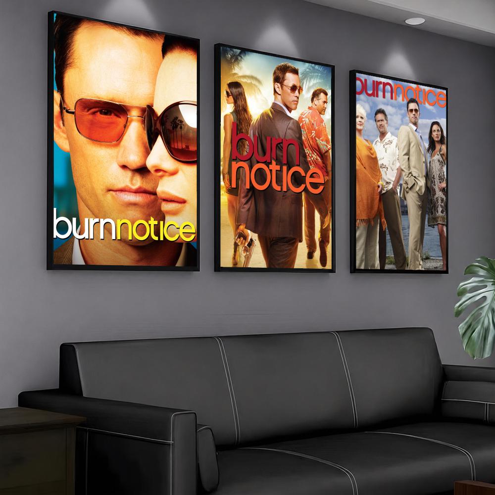 tv series B-Burn Notice-E Pain - đánh giá và giá Interior Design Tv Room